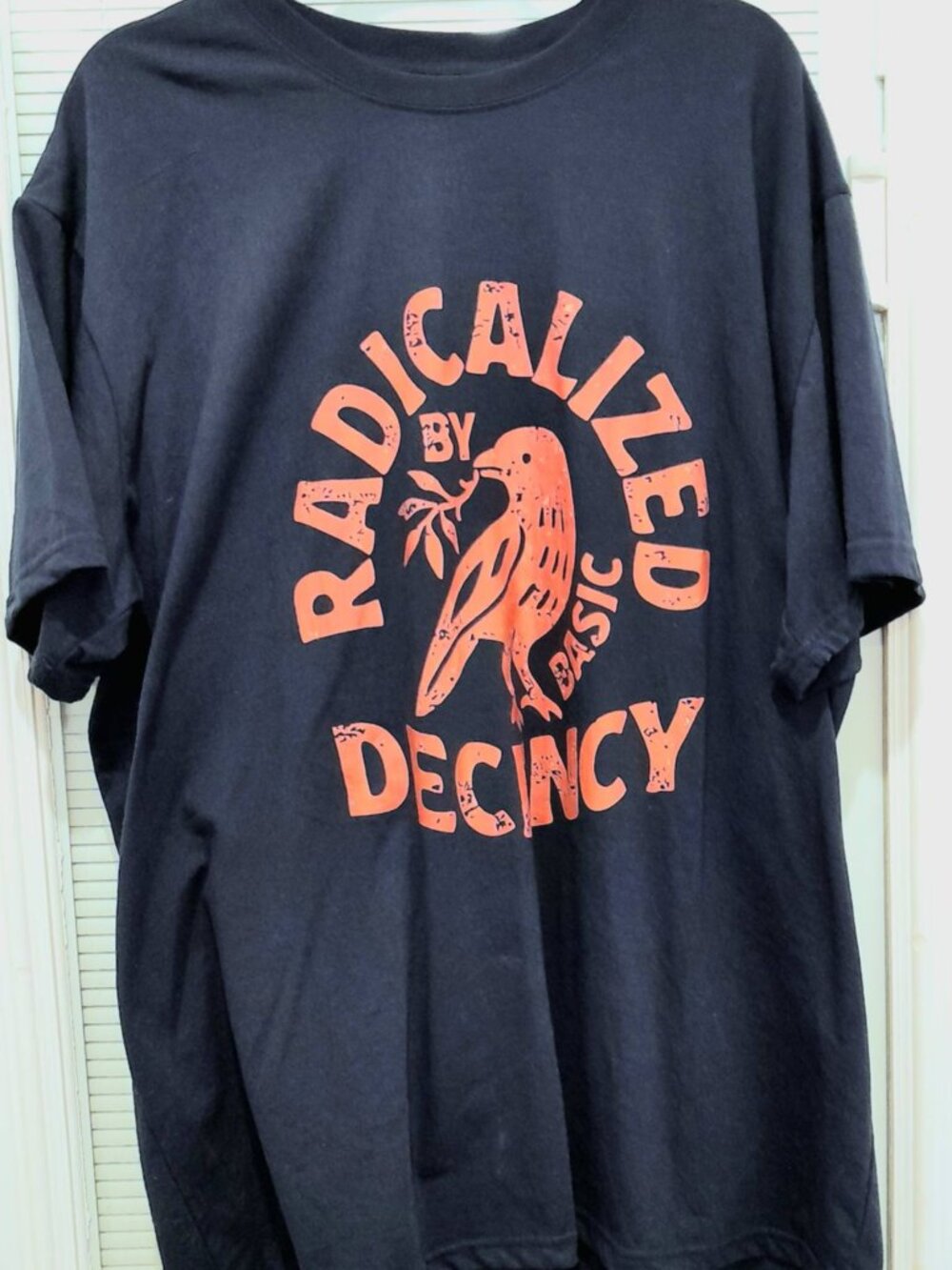 Unisex 3X Navy “Radicalized by Basic Decency” Graphic T-Shirt